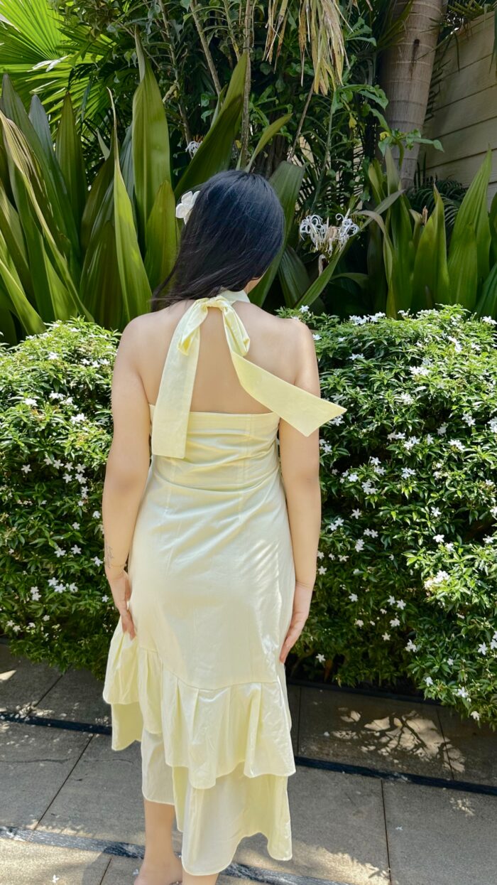 Floren Dress - Image 4